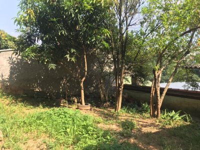Sobrado em Jardim Santa Lucrécia - São Paulo — foto 48