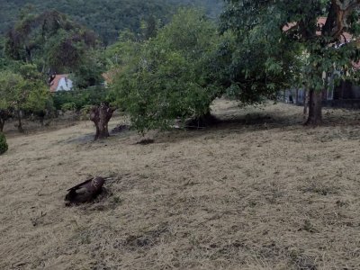 Terreno em Terras de São Sebastião - Itatiba — foto 3