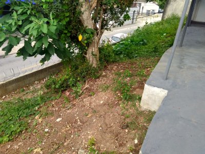 Casa em Jaraguá - São Paulo — foto 15