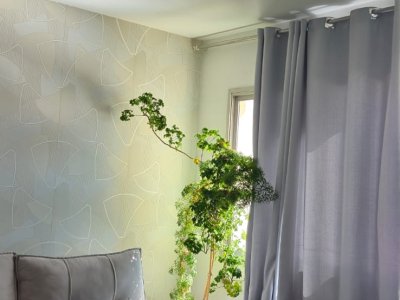 Apartamento em Vila Jaraguá - São Paulo — foto 6