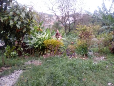 Terreno em Jaraguá - São Paulo — foto 3