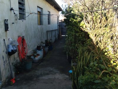 Terreno em Vila Souza - São Paulo — foto 3