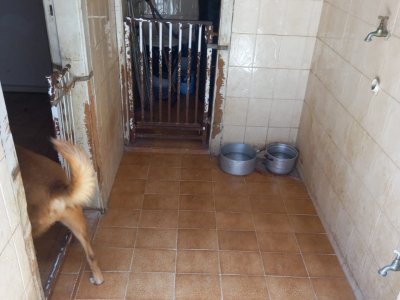 Casa em Lapa - São Paulo — foto 4