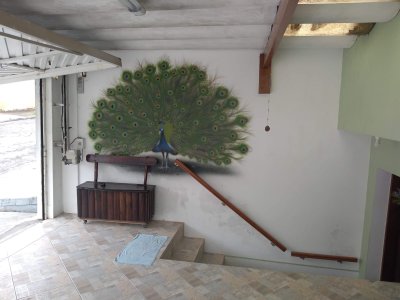 Sobrado em Perus - São Paulo — foto 18