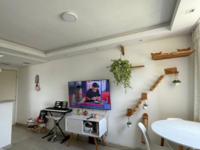 Apartamento em Jardim Pirituba - São Paulo — foto 7
