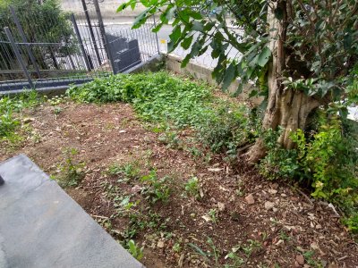 Casa em Jaraguá - São Paulo — foto 14