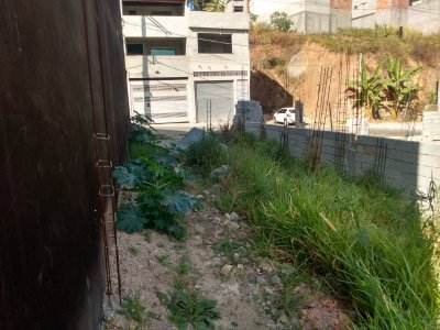 Terreno em Vila Aurora - São Paulo — foto 6