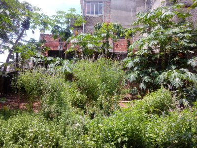 Casa em Jaraguá - São Paulo — foto 20