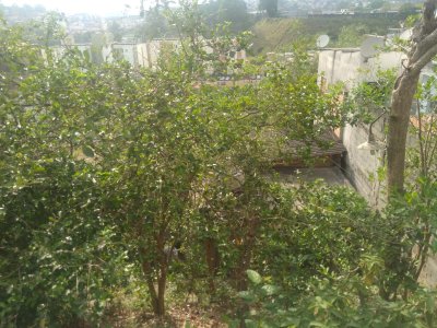 Terreno em Cidade d Abril - São Paulo — foto 22