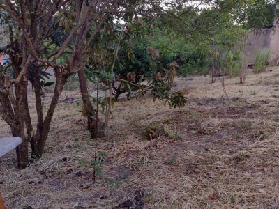 Terreno em Terras de São Sebastião - Itatiba — foto 12