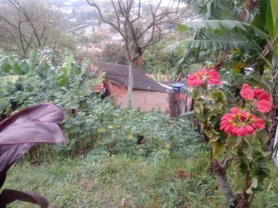 Terreno em Jaraguá - São Paulo — foto 4