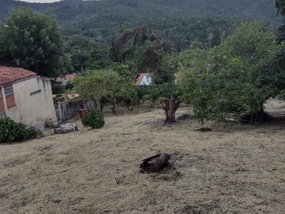 Terreno em Terras de São Sebastião - Itatiba — foto 4
